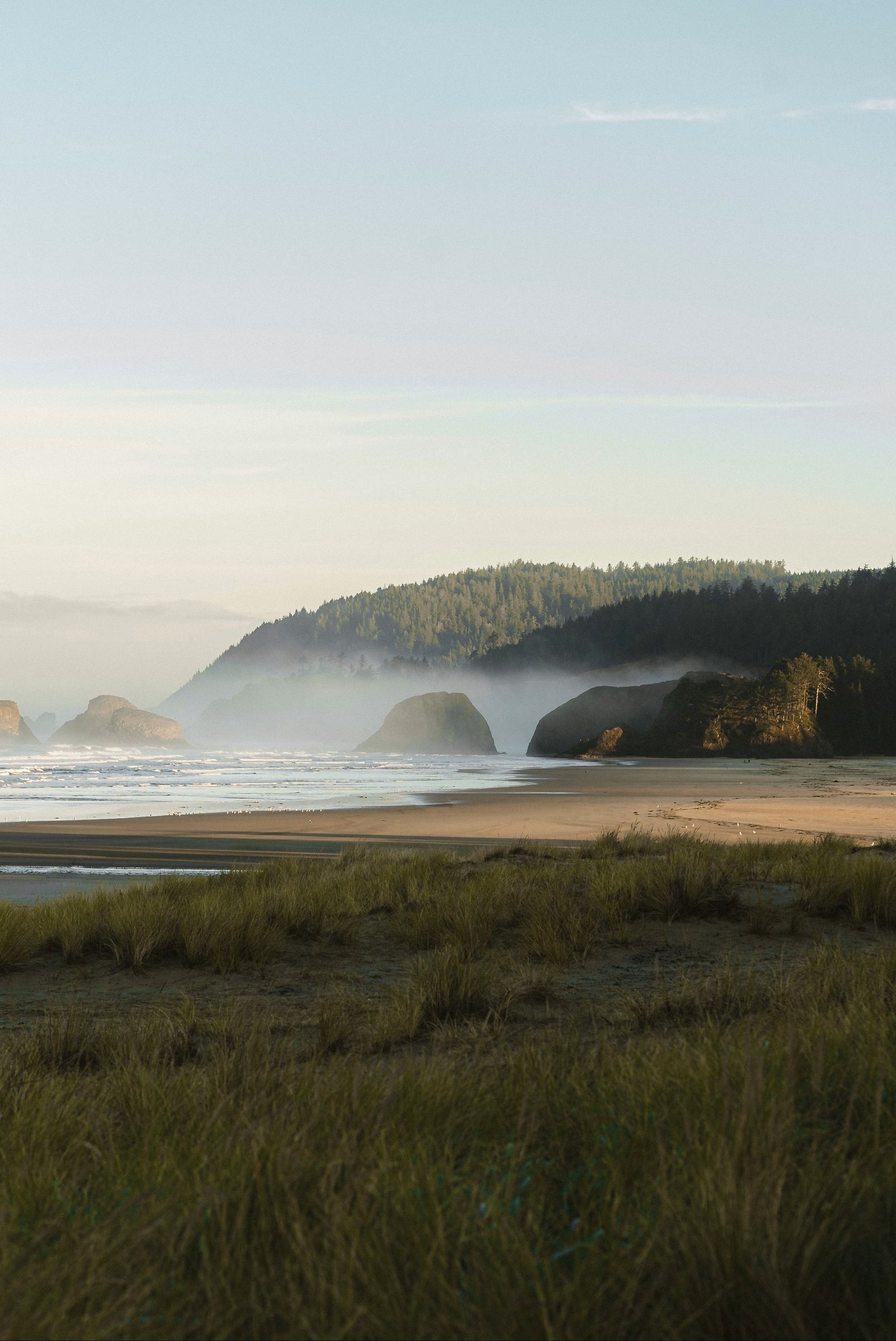 Top 5 Family-Friendly Neighbourhoods in Vancouver (2026)